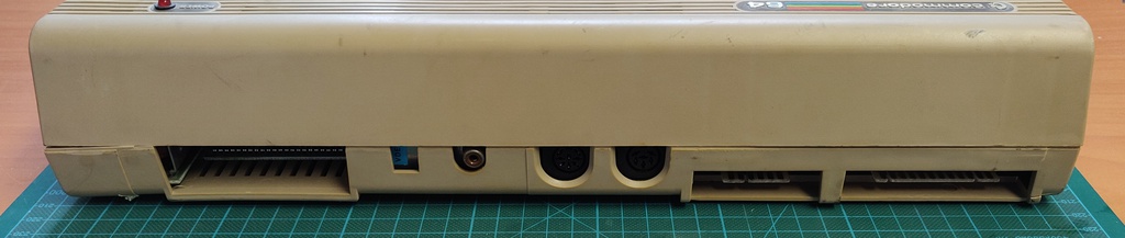Back view