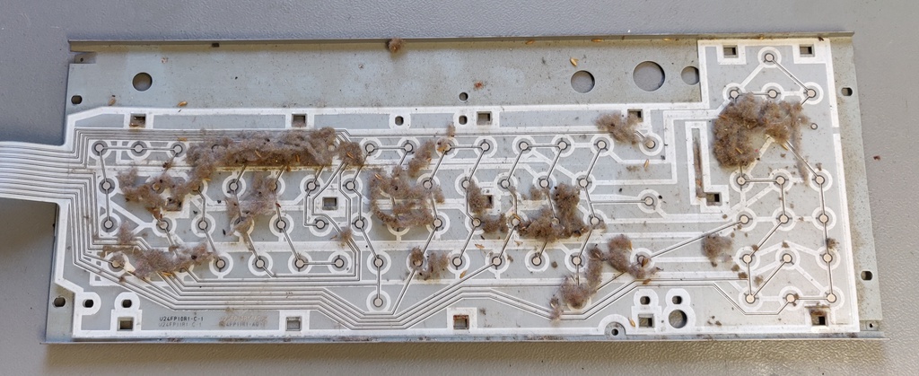 Keyboard membrane